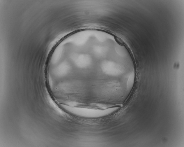 X0000111030995200907231616