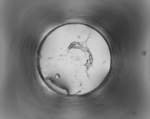 X0000111030999200907231616