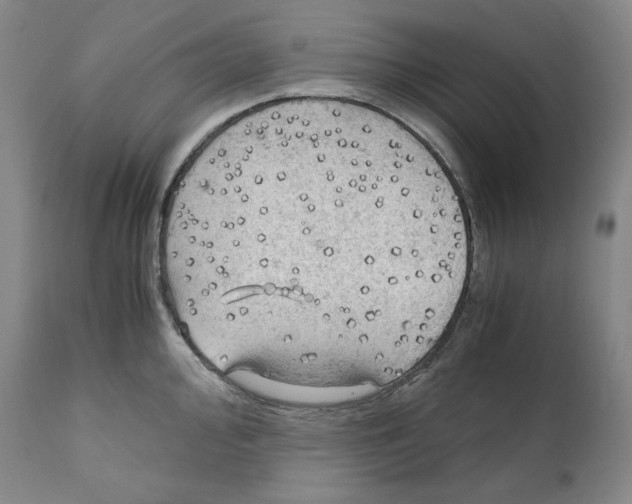 X0000111031000200907231616