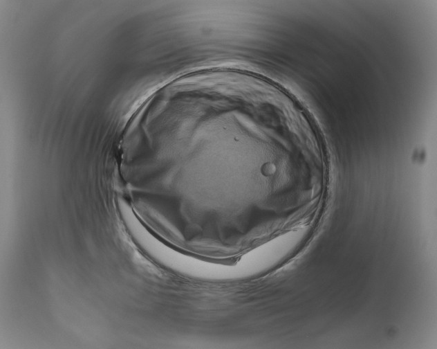 X0000111031001200907231616