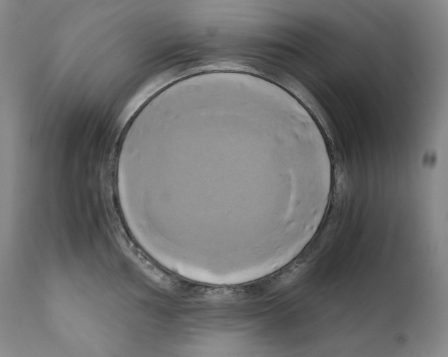 X0000111031002200907231616