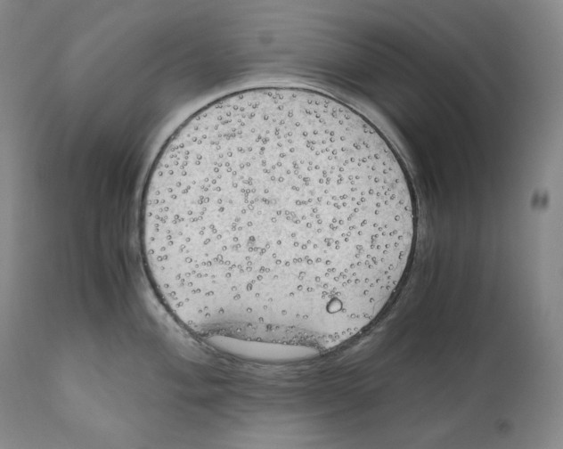 X0000111031004200907231616