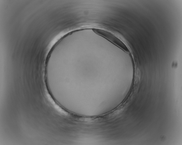 X0000111031005200907231616