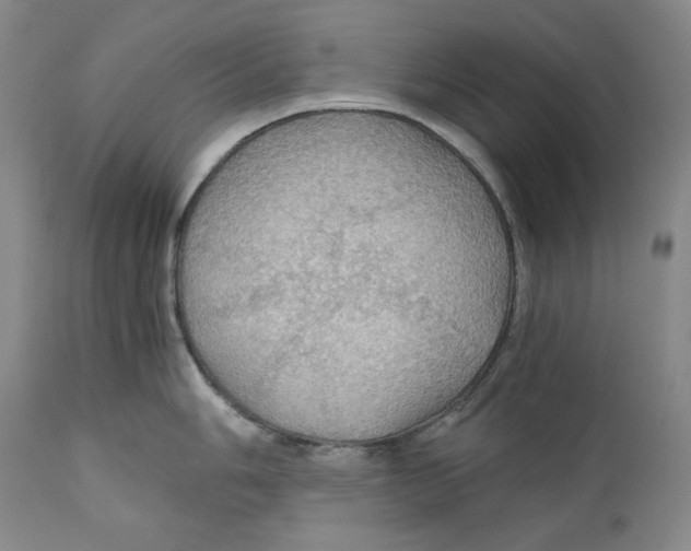 X0000111031006200907231616