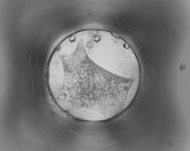 X0000111031008200907231616