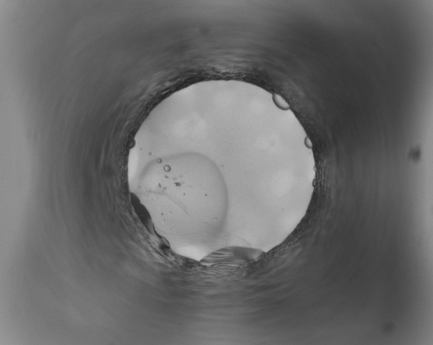 X0000111031009200907231615