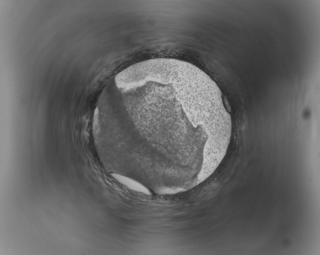 X0000111031010200907231615