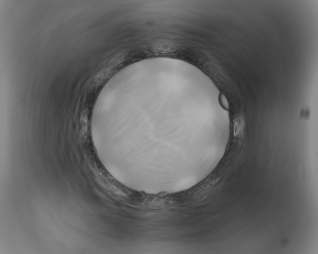 X0000111031011200907231615