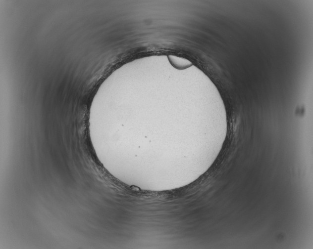 X0000111031012200907231615