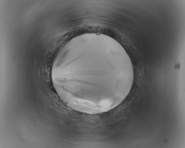 X0000111031013200907231615