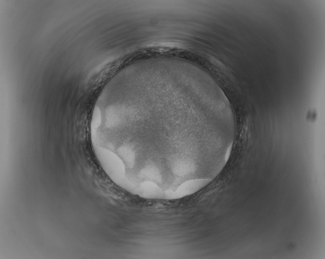 X0000111031014200907231615