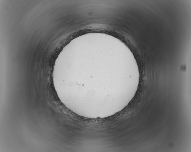 X0000111031016200907231615