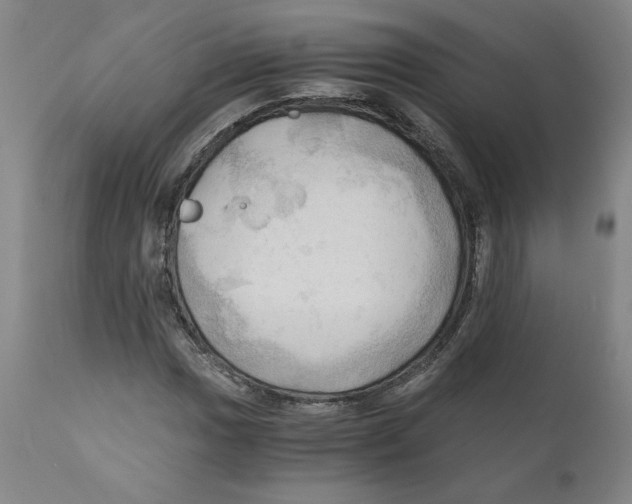 X0000111031017200907231615