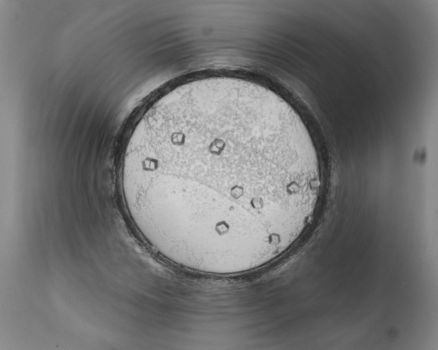 X0000111031018200907231615
