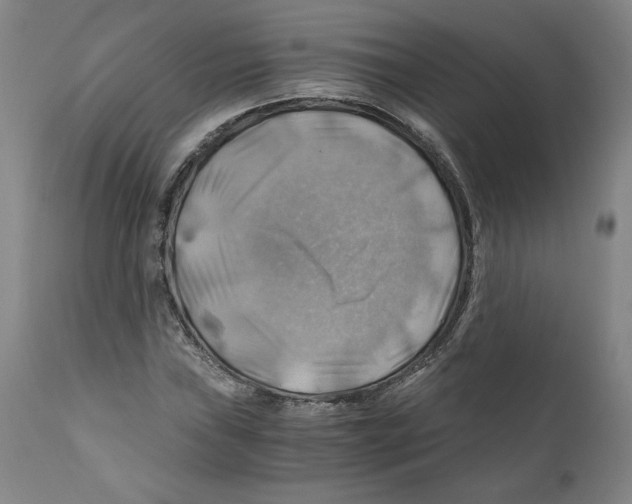 X0000111031019200907231615