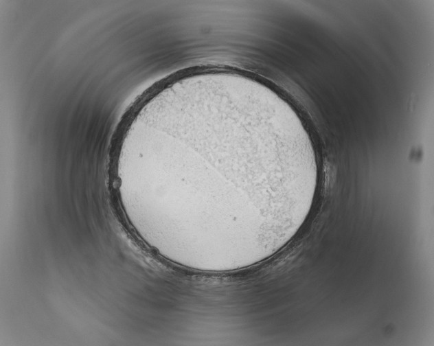 X0000111031020200907231615