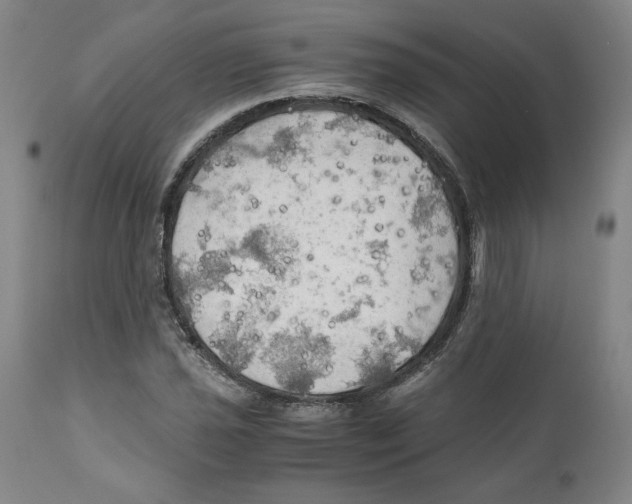 X0000111031021200907231615