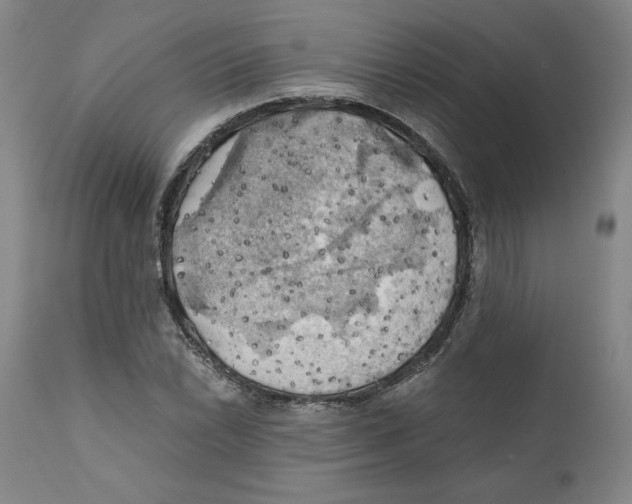 X0000111031022200907231615