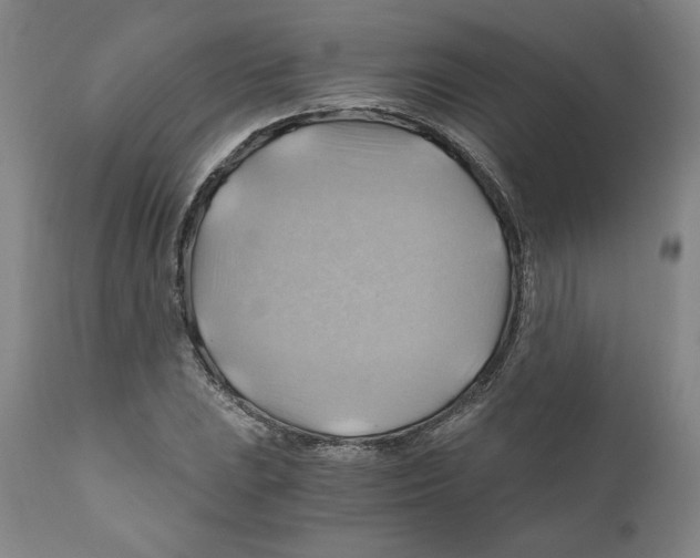 X0000111031023200907231615