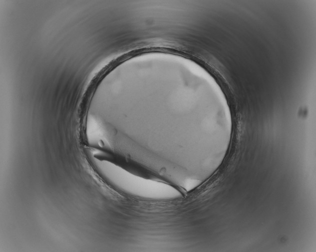 X0000111031024200907231615