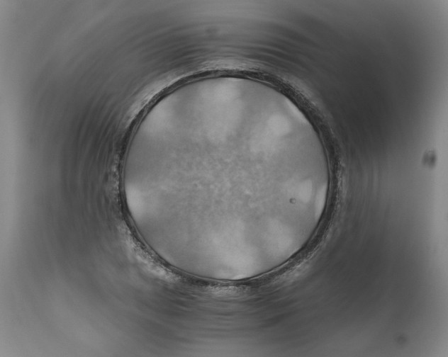 X0000111031025200907231615