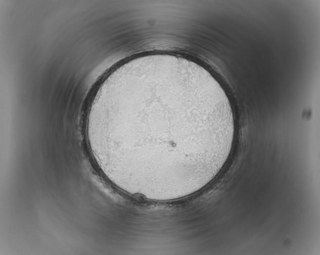 X0000111031026200907231615