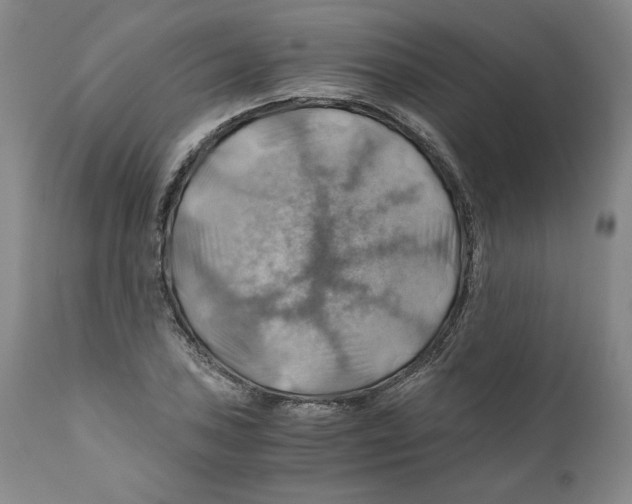 X0000111031027200907231615