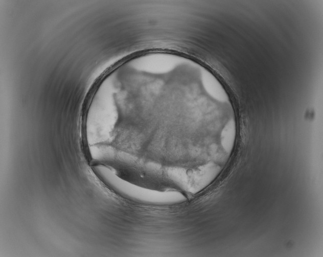 X0000111031028200907231615