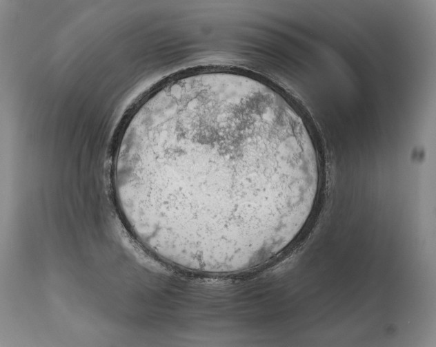 X0000111031029200907231615