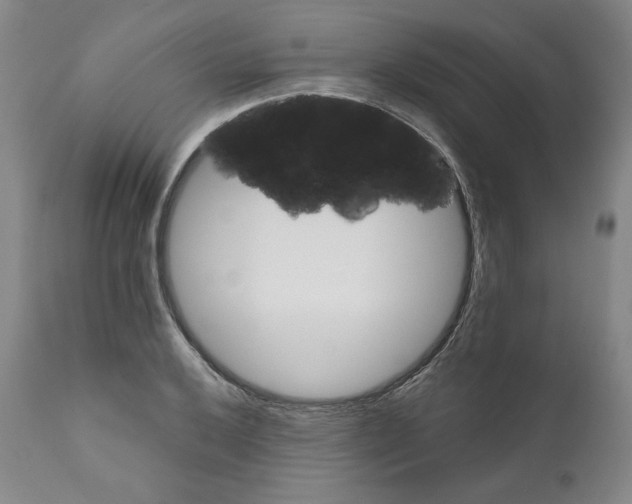 X0000111031032200907231615