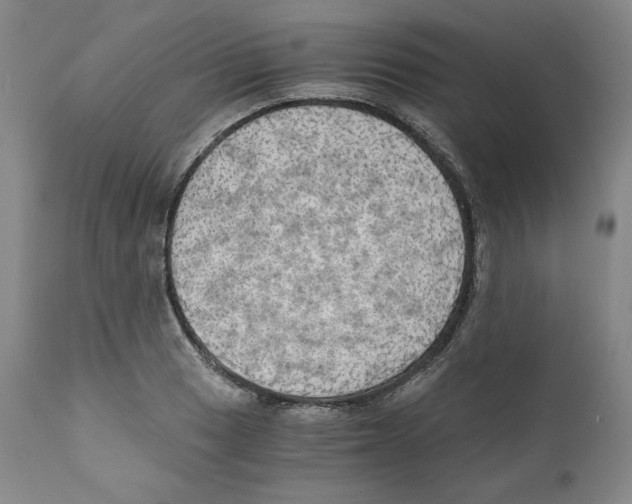 X0000111031033200907231615