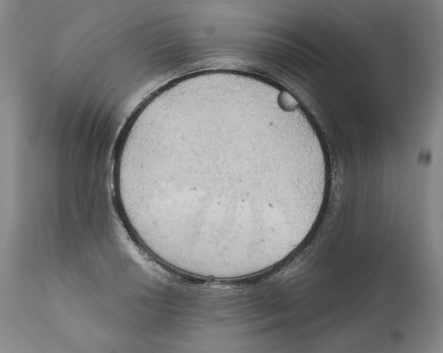 X0000111031034200907231615