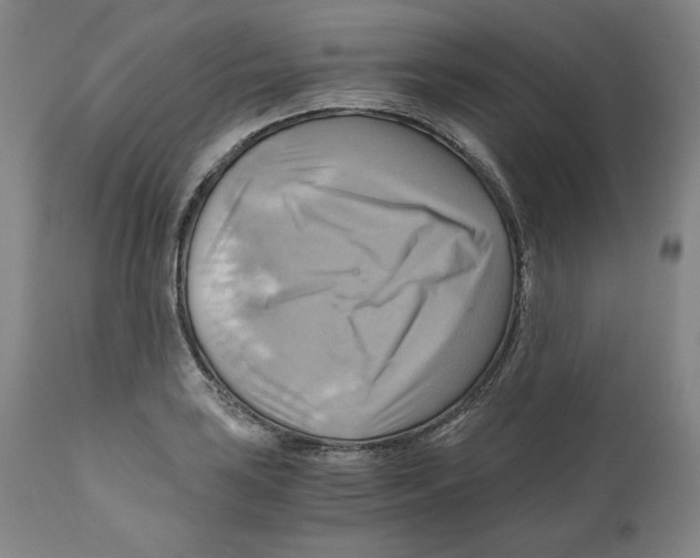 X0000111031035200907231615