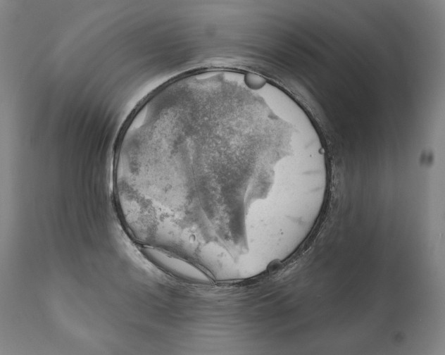 X0000111031036200907231615