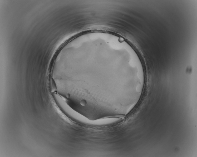 X0000111031037200907231615