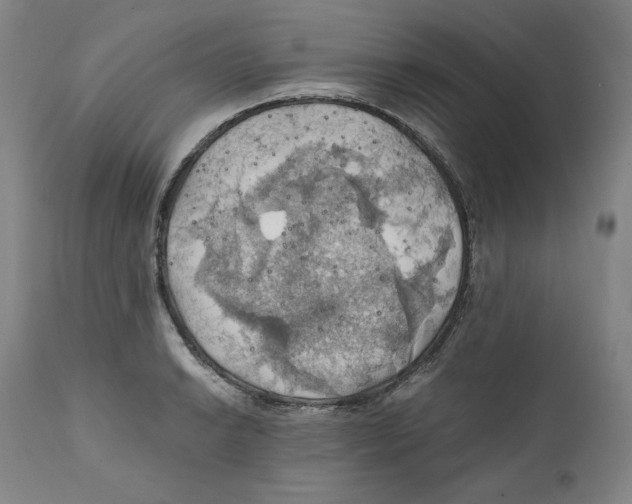 X0000111031038200907231615