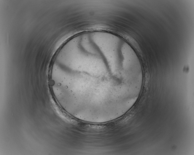 X0000111031039200907231615