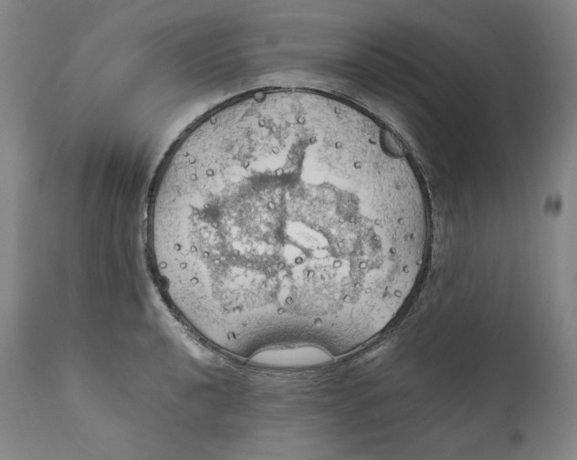 X0000111031040200907231616