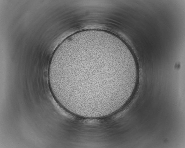 X0000111031041200907231616