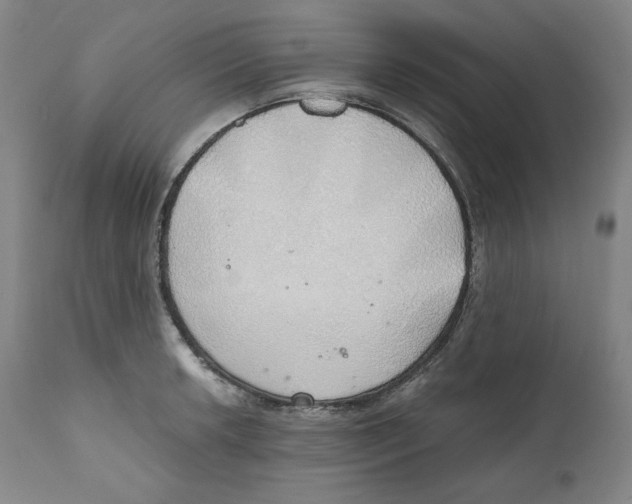 X0000111031042200907231616