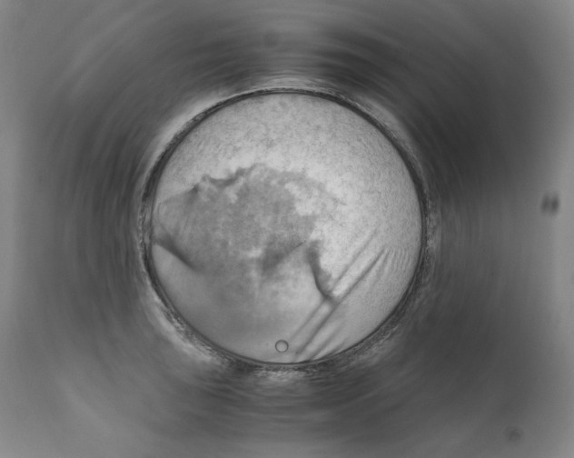 X0000111031043200907231616