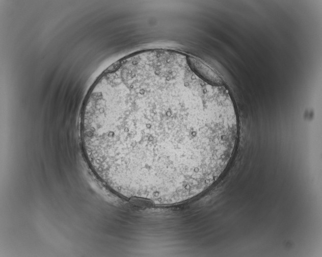 X0000111031044200907231616