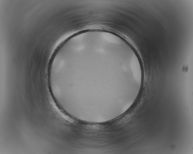 X0000111031045200907231616