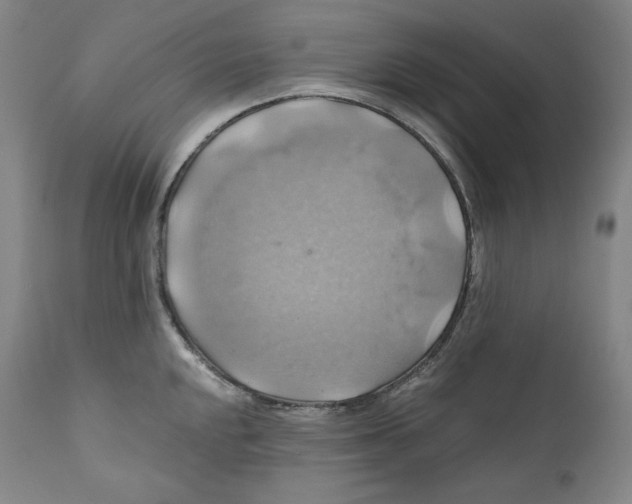 X0000111031048200907231616