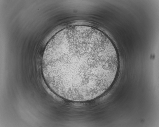 X0000111031049200907231616