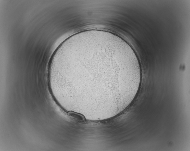 X0000111031050200907231616