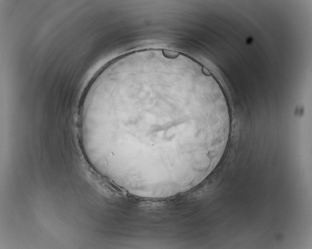 X0000111031051200907231616