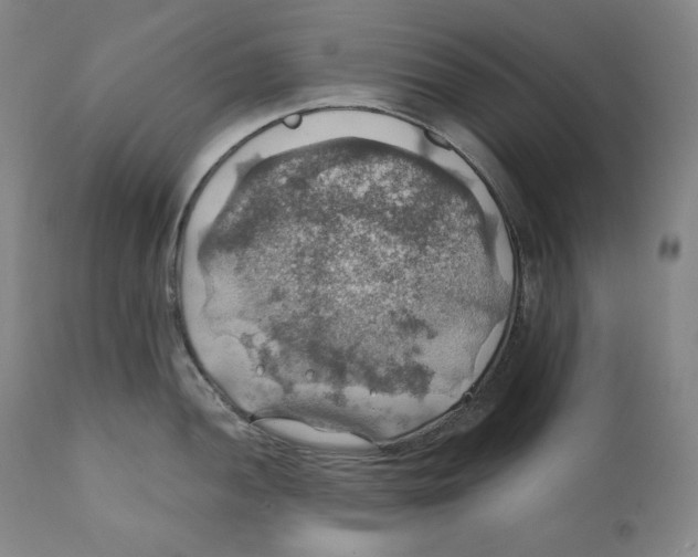 X0000111031052200907231616