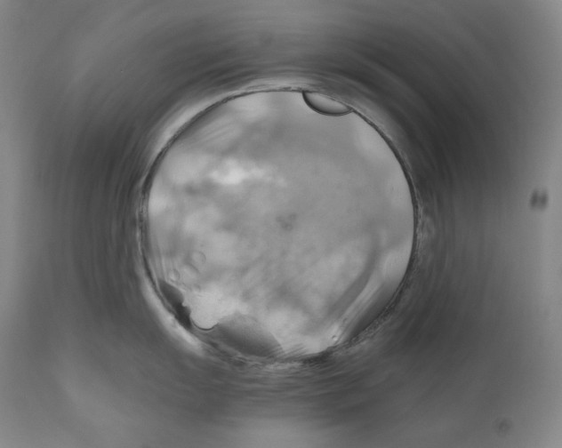 X0000111031055200907231616