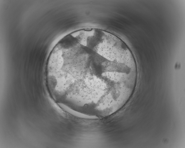 X0000111031056200907231616